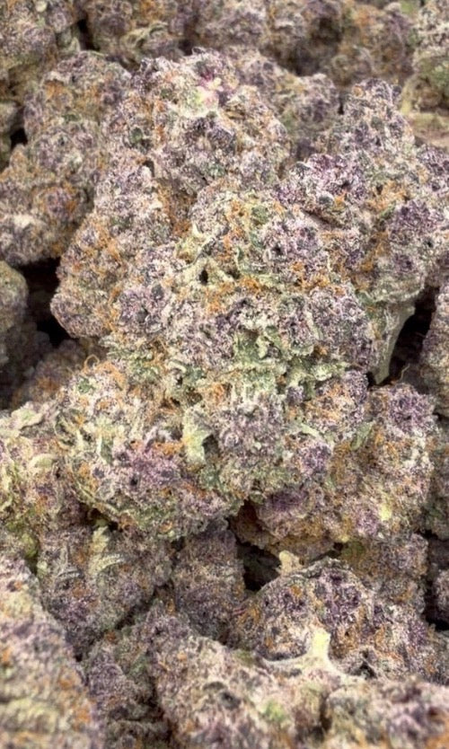 Purple TrainWreck - Bulk - Sativa