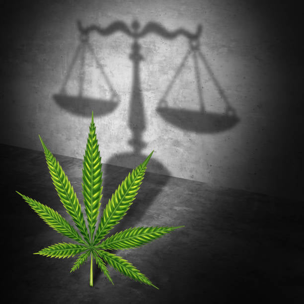 Cannabis rescheduled find out what that means in your state.