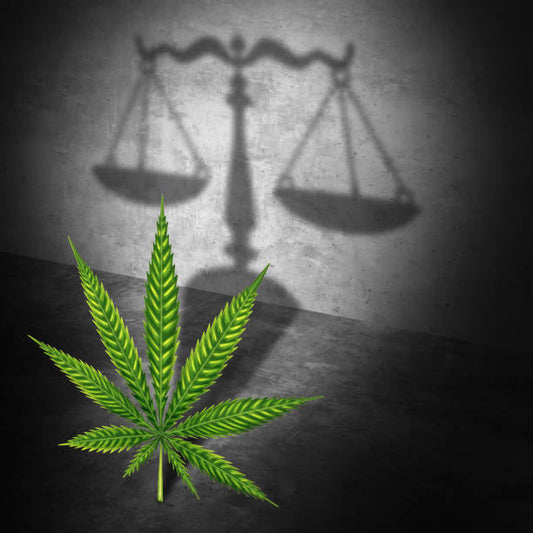 Cannabis rescheduled find out what that means in your state.