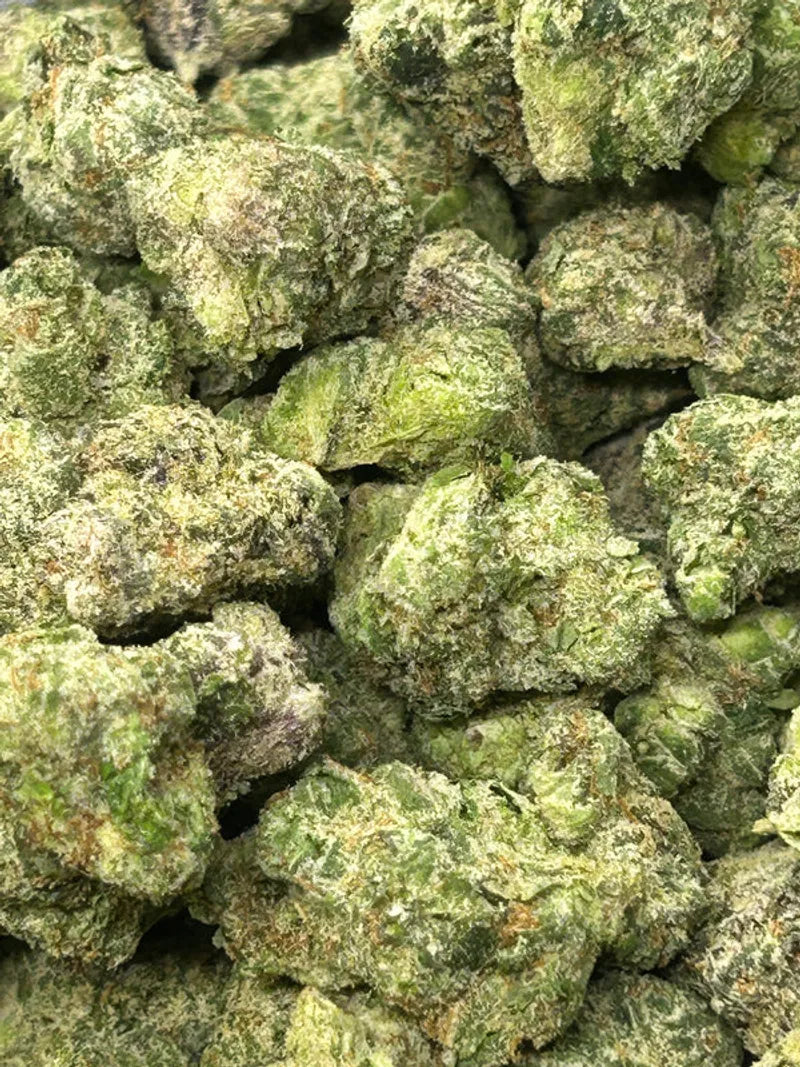 Close-up of premium THCa flower buds with frosty trichome coverage