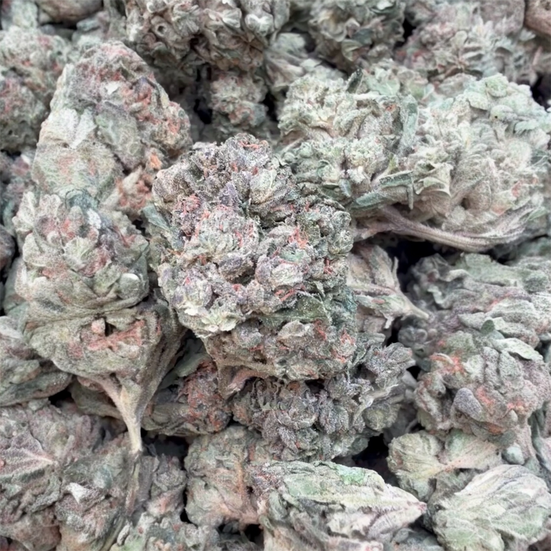 Hash Plant - Bulk - Indica