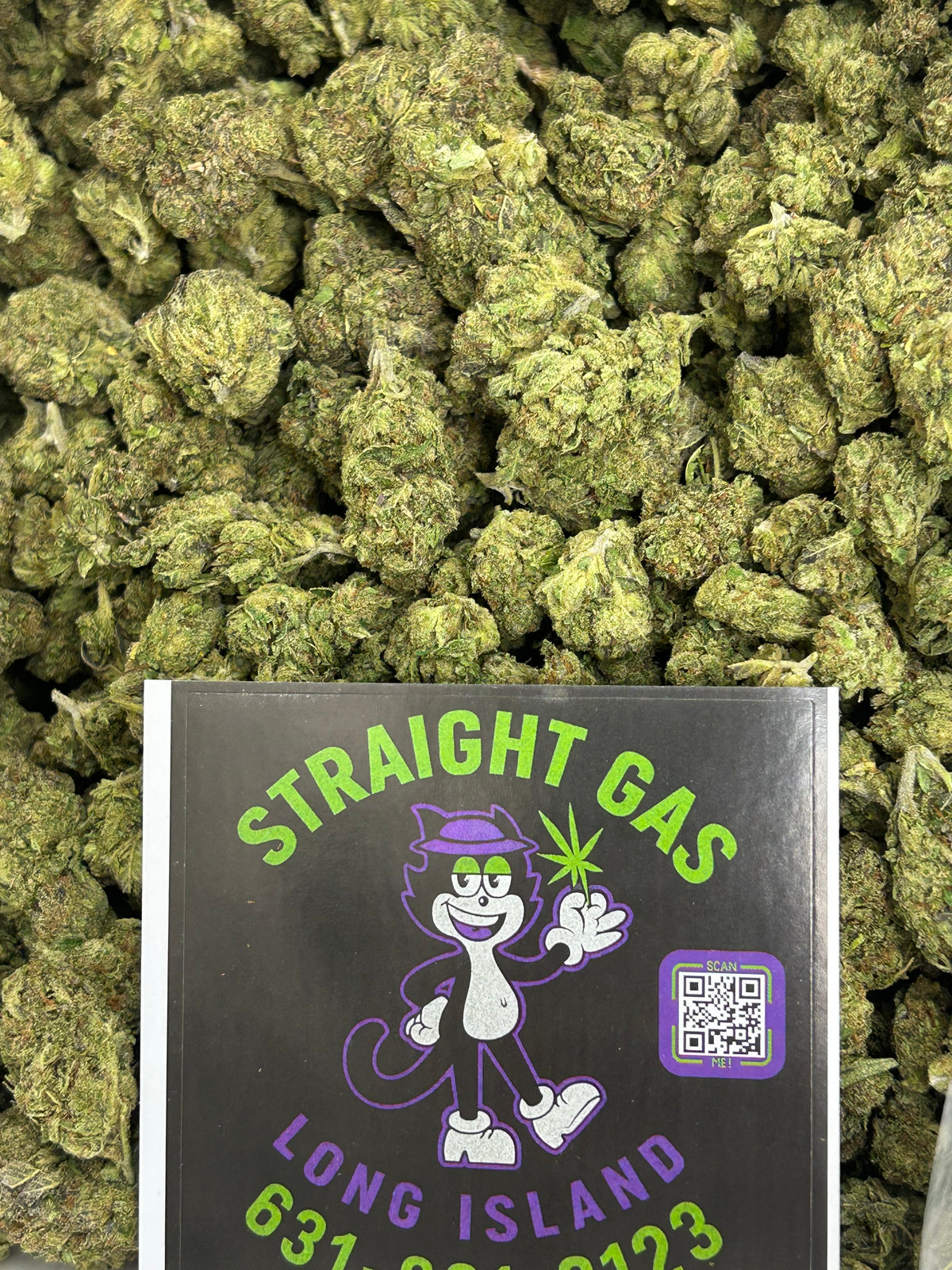 🍋🌈 Sour Zkittlez - Hybrid