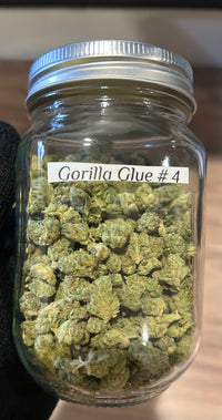 Gorilla Glue # 4 - Indica