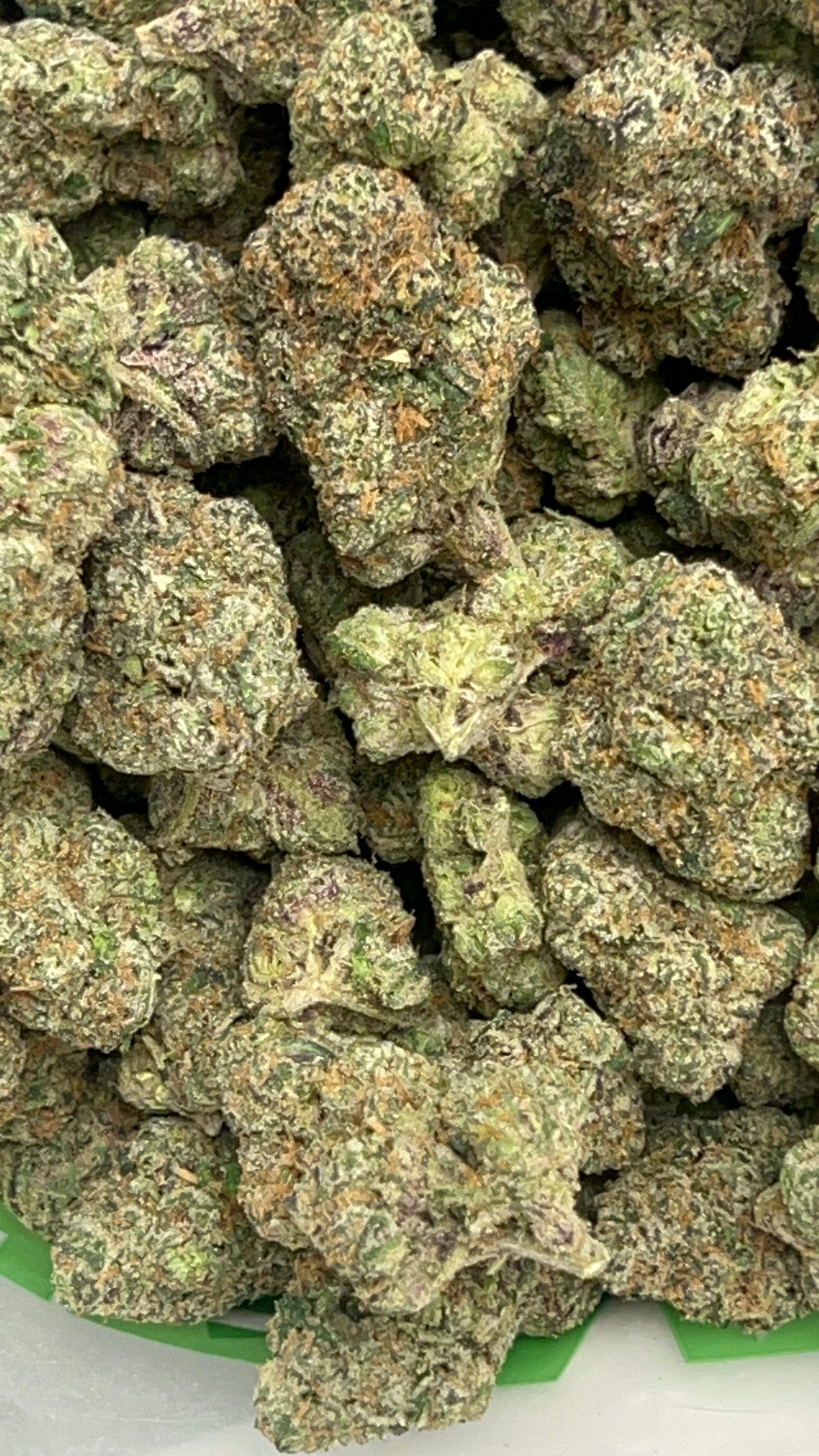 Rare Blue Lobster - Bulk - Hybrid - Indica