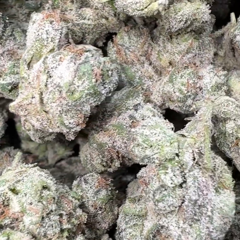 Boutique Exotics - Uncle Snoop - Bulk - Hybrid