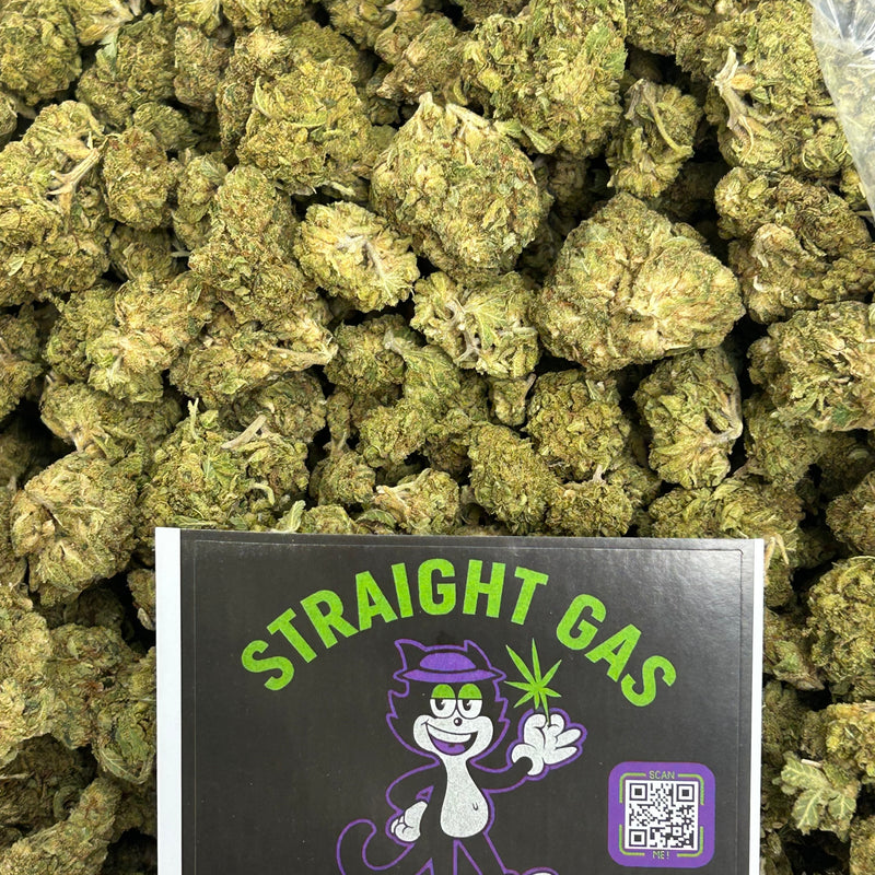 🍬🌿 Gusher Mintz - Hybrid