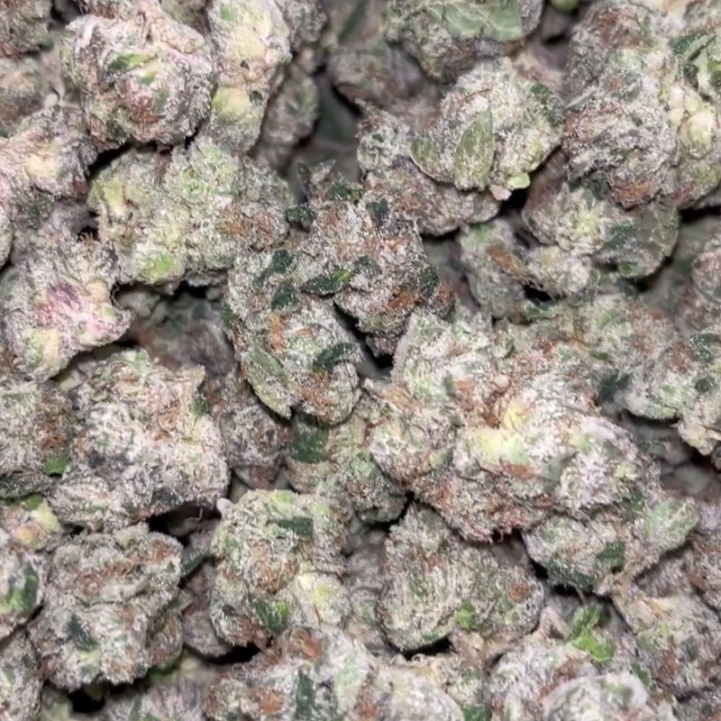 Boutique Exotics - Coffin Candy - Hybrid - Bulk