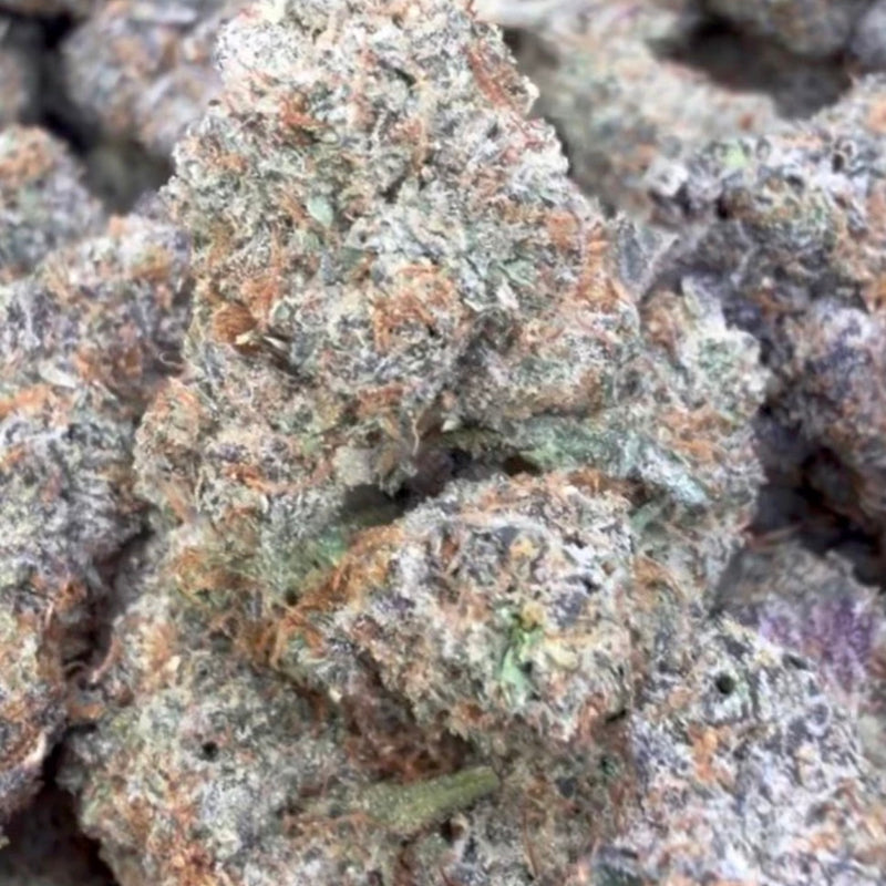 Boutique Exotics - Super Blue Nerdz - Bulk - Indoor