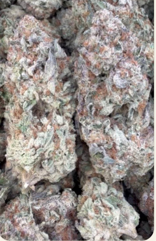 Lemon Bar - Bulk - Sativa