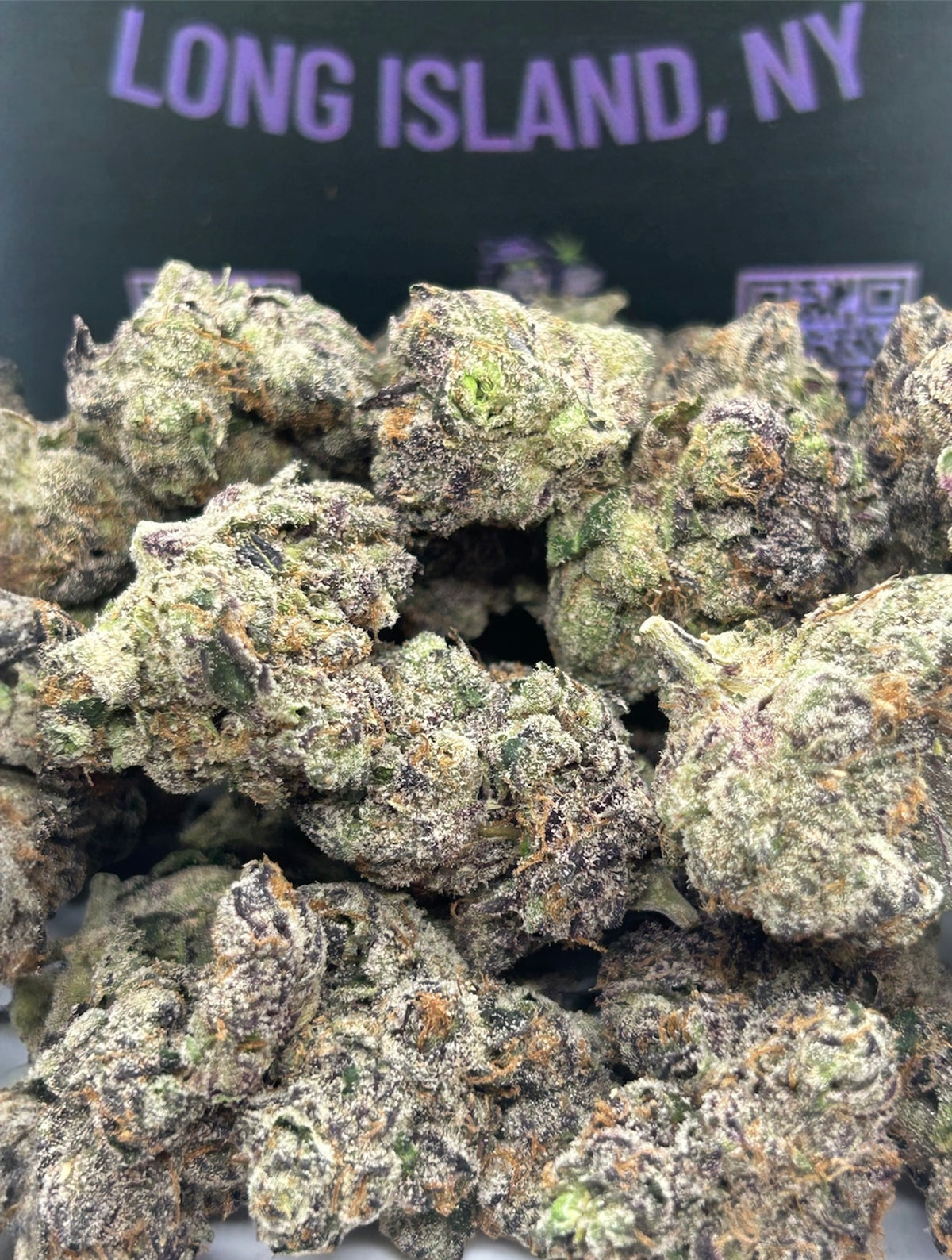 Frozen Black Cherry 🍒 - Indoor - Indica