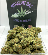 Green Lantern - Hybrid/Sativa