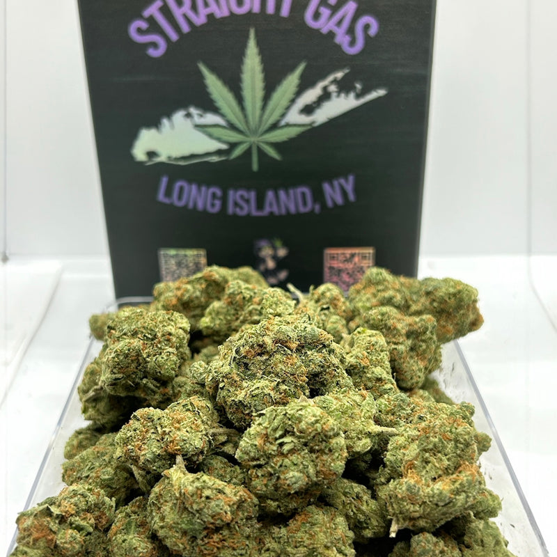 Green Lantern - Hybrid/Sativa