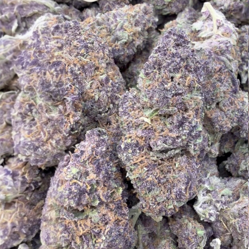 Trop Cherry - Bulk - Sativa