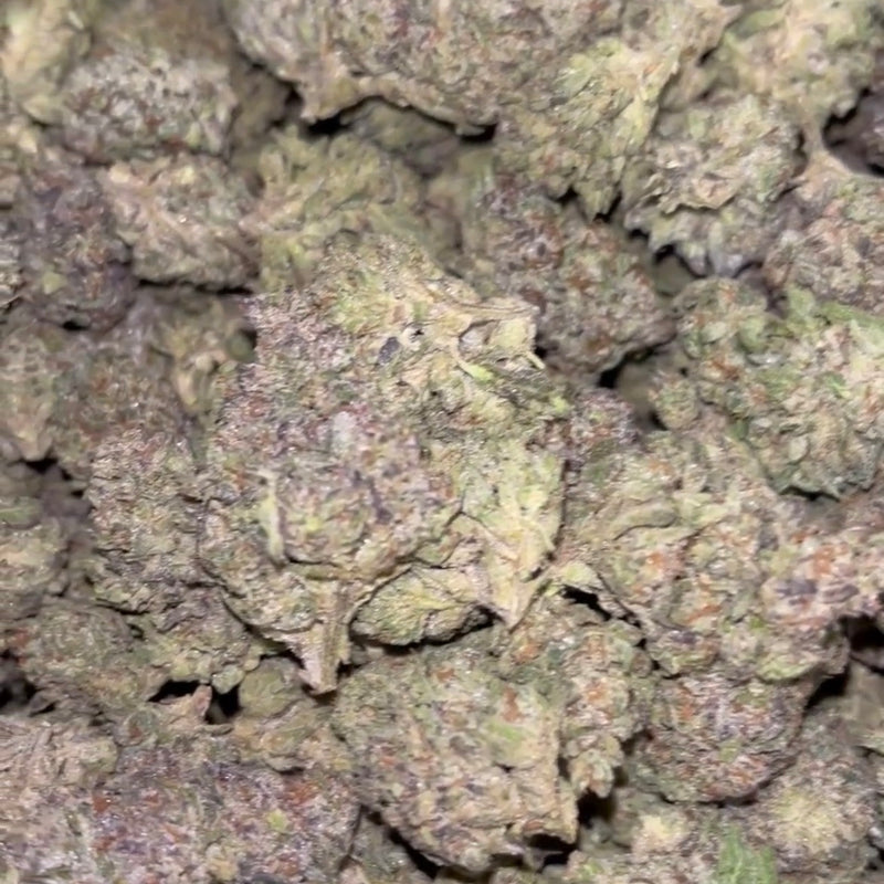 Black Cherry Caviar - Bulk - Indica