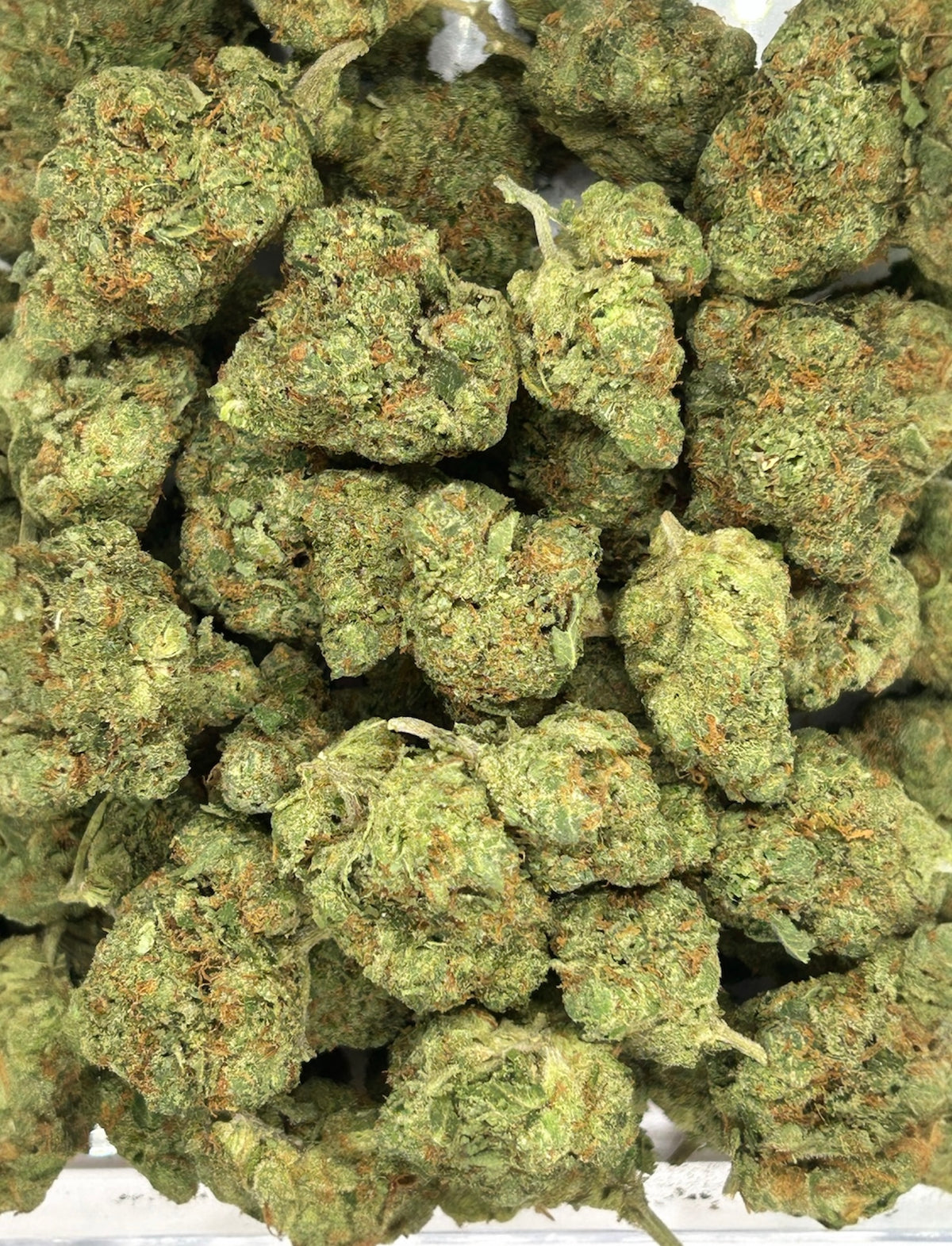 Green Lantern - Hybrid/Sativa