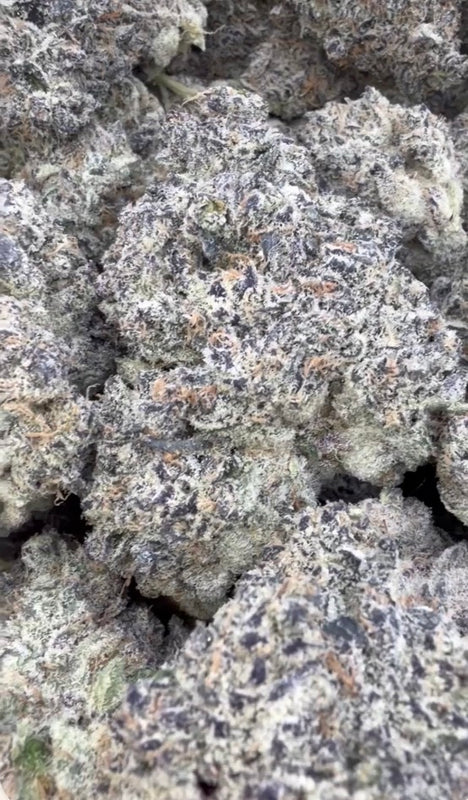 Boutique Exotics - Purple Nerdz Exotic - Bulk - Indoor