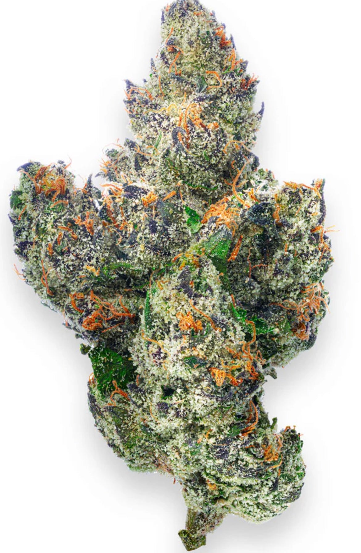 Boutique Exotics - Lemon Dior - Bulk - Hybrid