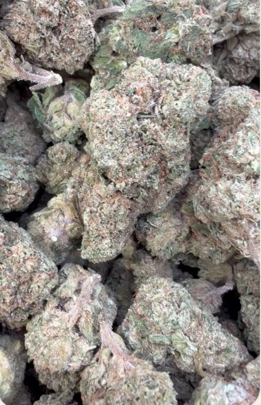 Lemon Cherry Gelato - Indoor - Bulk - Indica