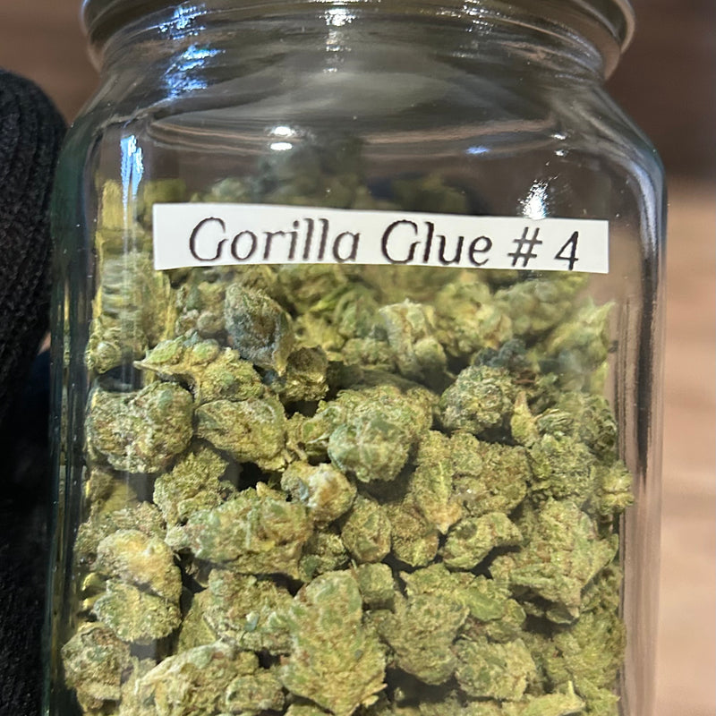 Gorilla Glue # 4 - Indica