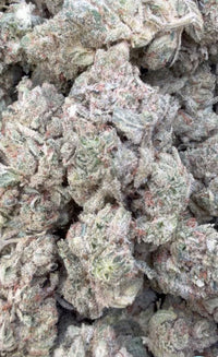 Gorilla Glue - Bulk - Indica