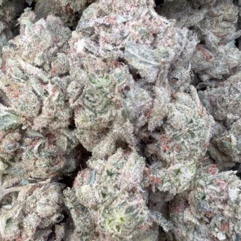 Gorilla Glue - Bulk - Indica