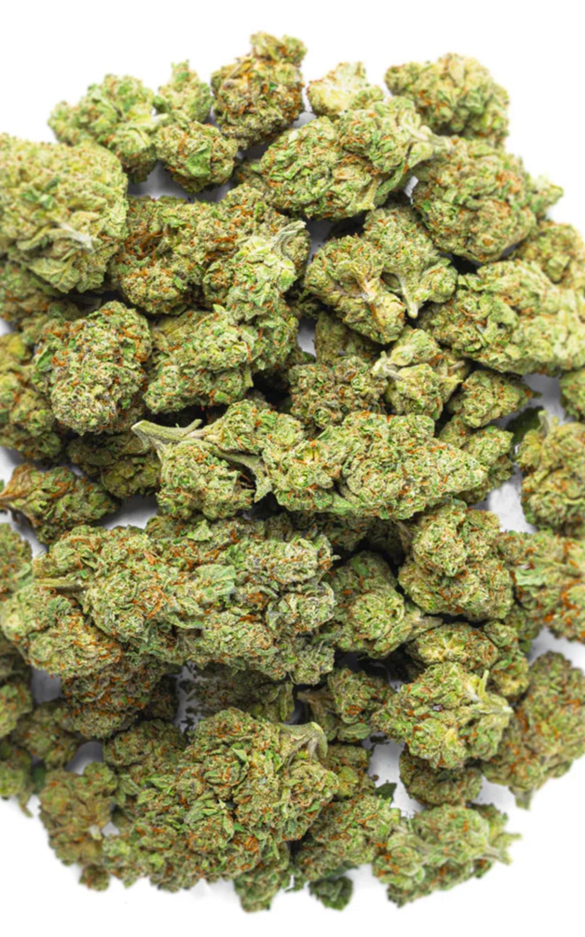 Bubba Candy - Bulk - Indica