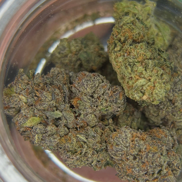 Blueberry Headband - Hybrid