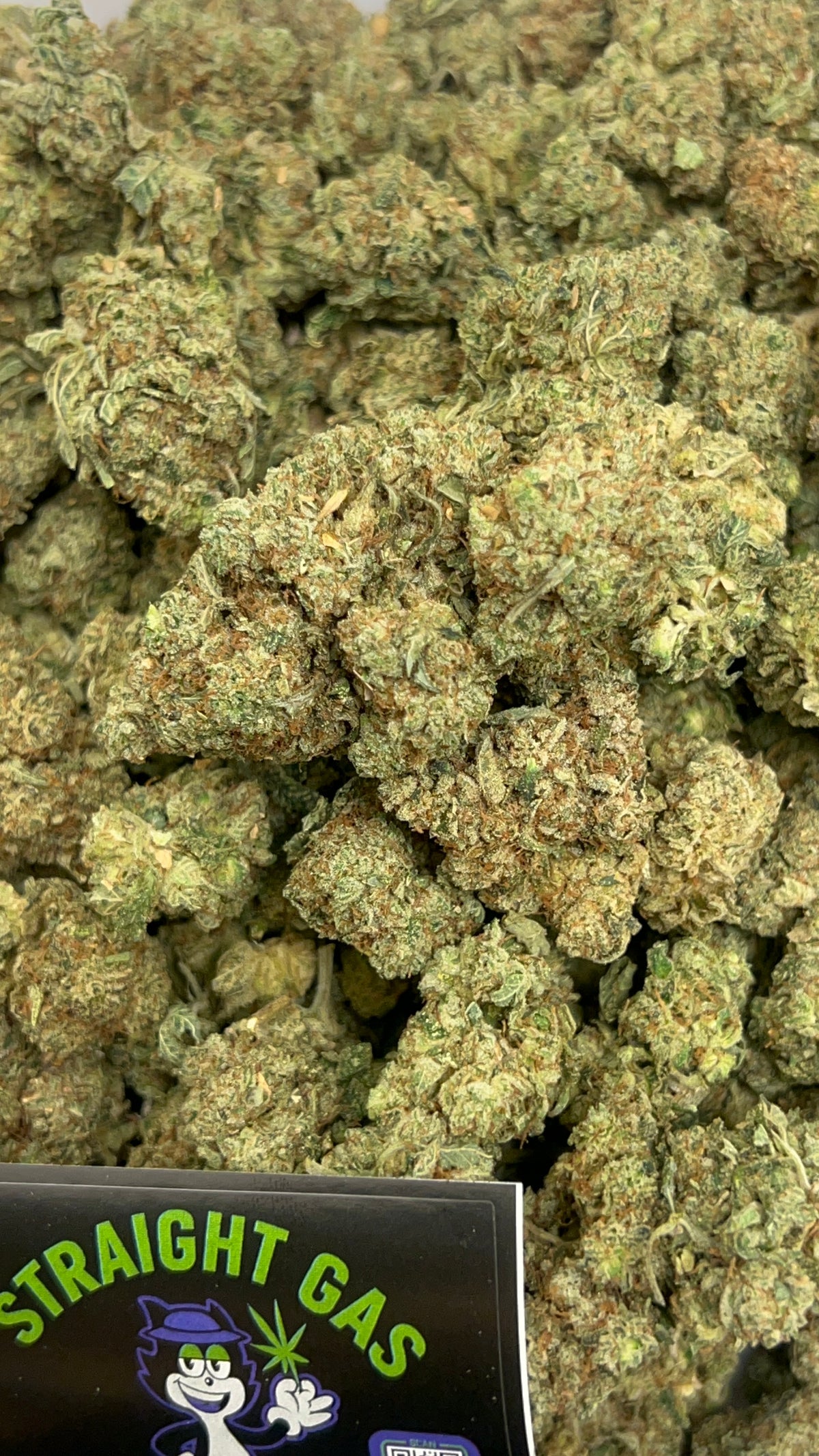 🦍🔥 GORILLA GLUE #4 (GG4) - INDICA