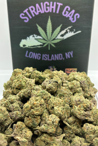 Exotic Sugar Tart - Hybrid