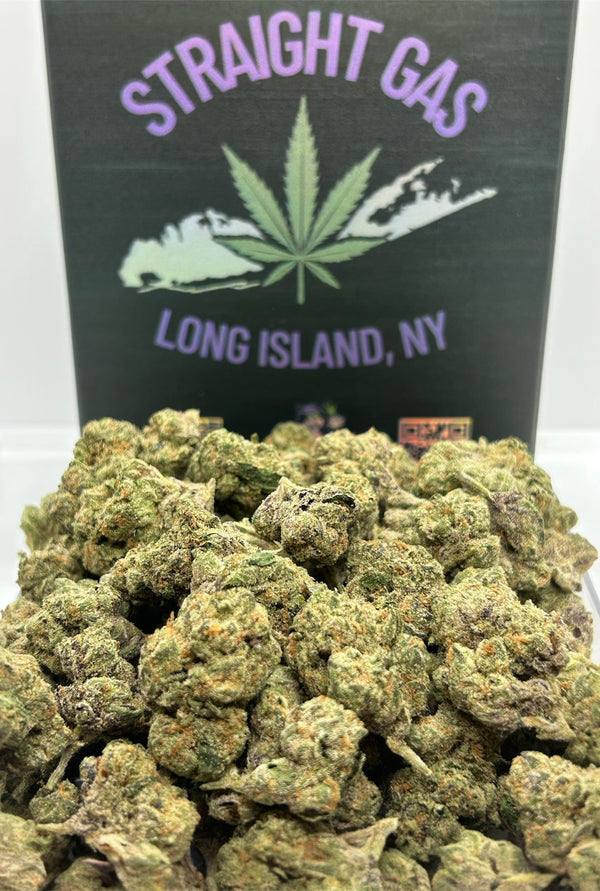 Exotic Sugar Tart - Hybrid