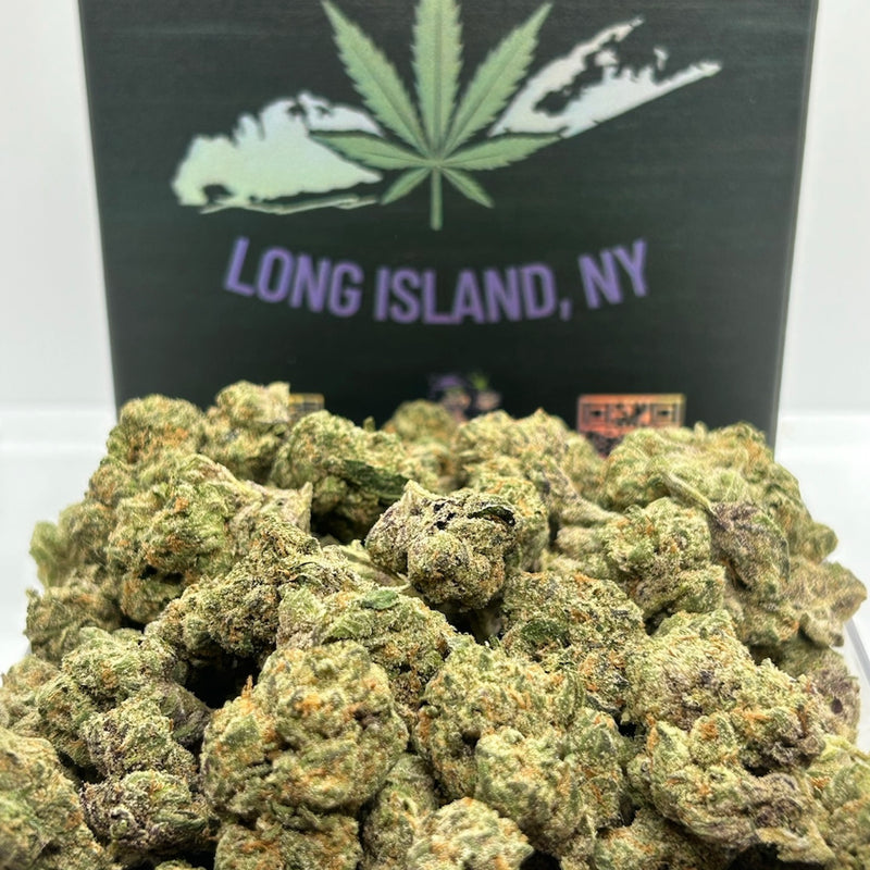 Sugar Tart - Hybrid