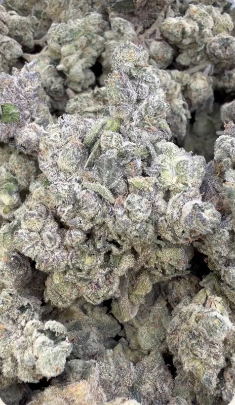 Boutique Exotics - Bolo Runtz - Bulk - Exotic