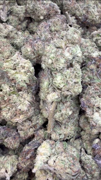 HashBurger - Bulk - Indica