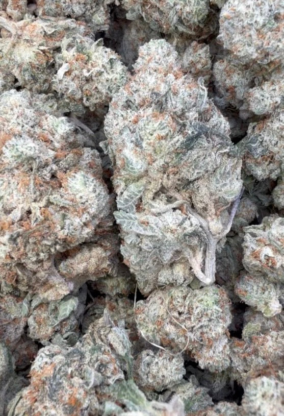 Gorilla Glue - Bulk - Indica