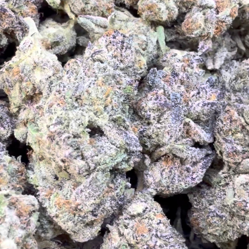 Purple Nerdz-Bulk-Indica