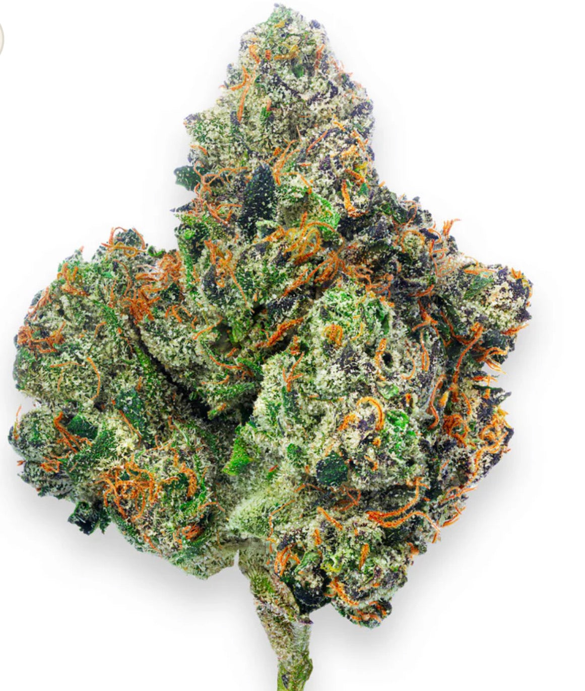 Boutique Exotics - Mylar Magic - Bulk - Indica