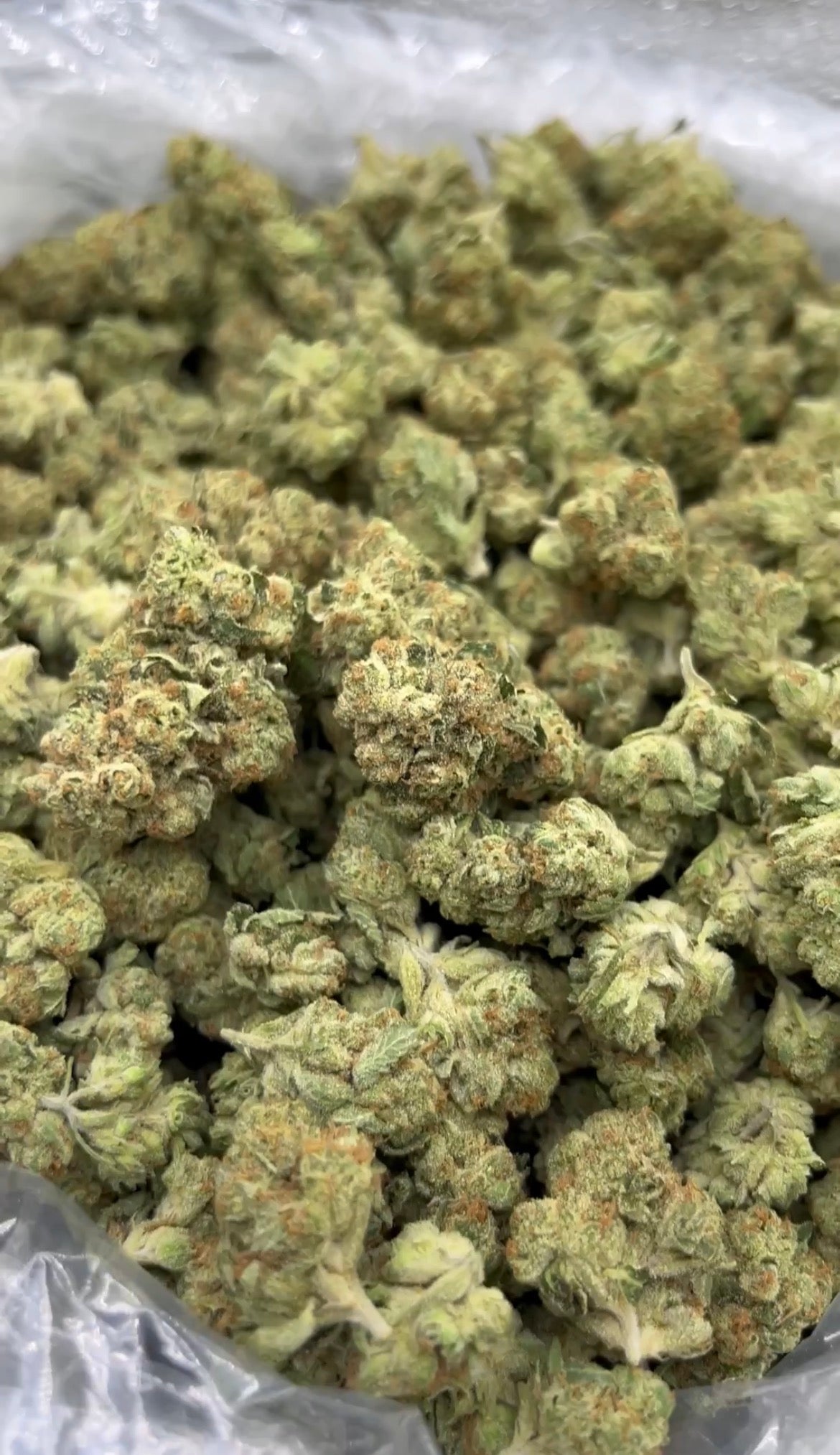 Alien OG - Bulk- Indica