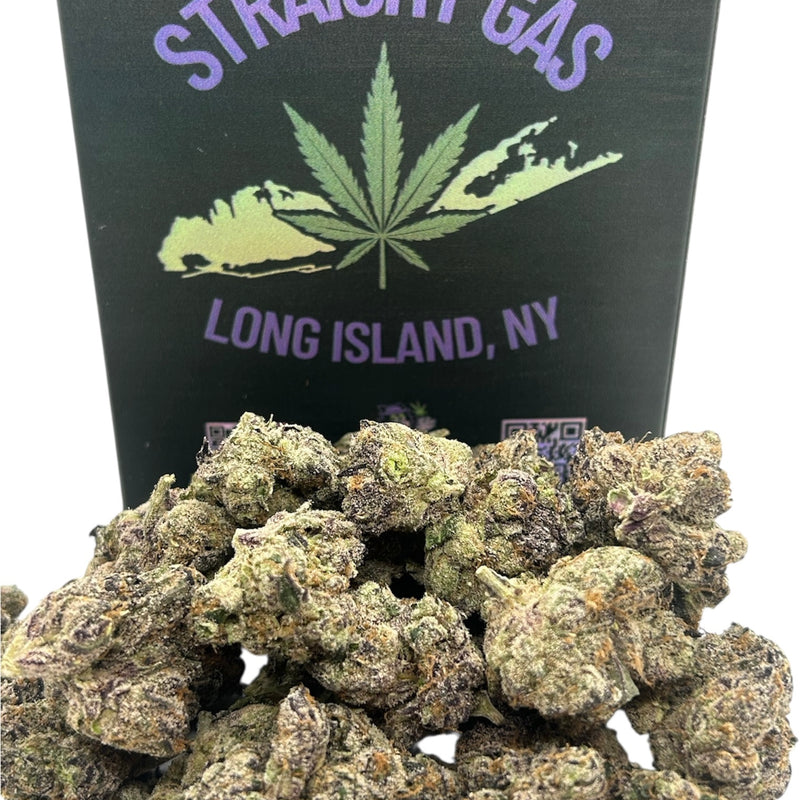Frozen Black Cherry 🍒 - Indoor - Indica