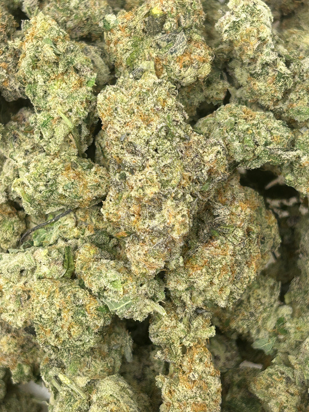 Mac 1 (Bulk) - Hybrid