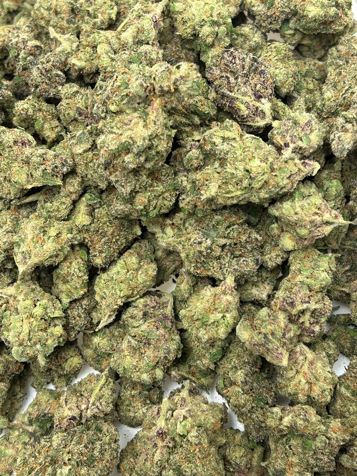 Gary Cookies - Hybrid/Indica