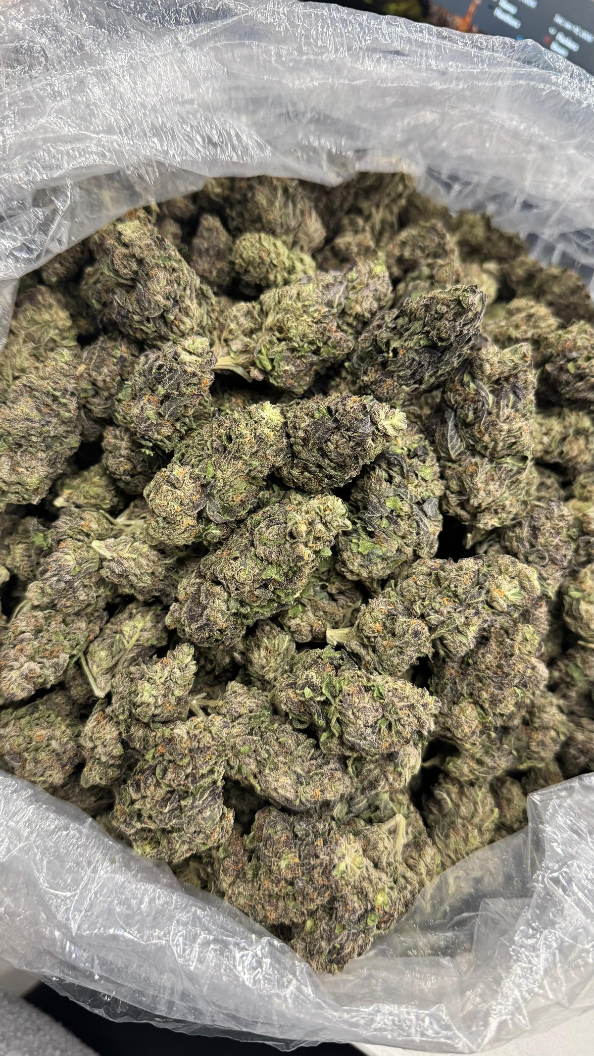 Permanent Marker - Bulk