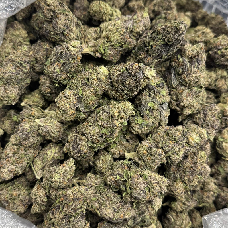 Permanent Marker - Bulk