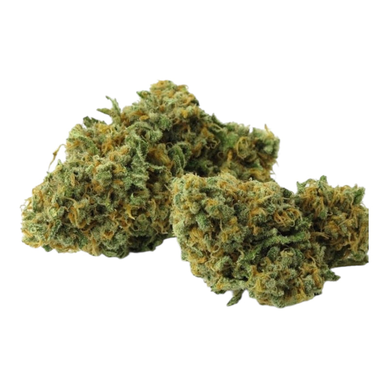 Green Crack - Bulk - Power House Sativa