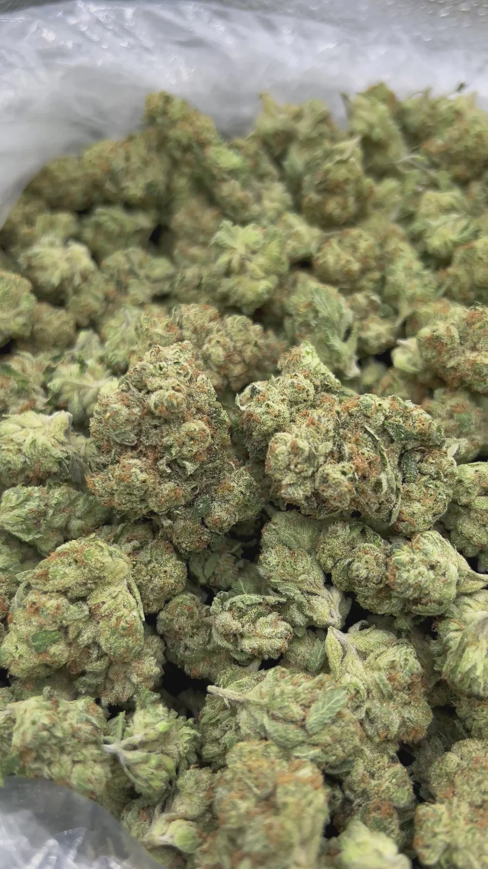 Alien OG - Bulk- Indica