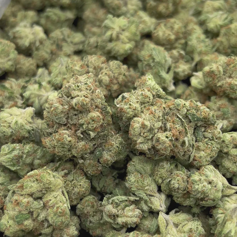 Alien OG - Bulk- Indica