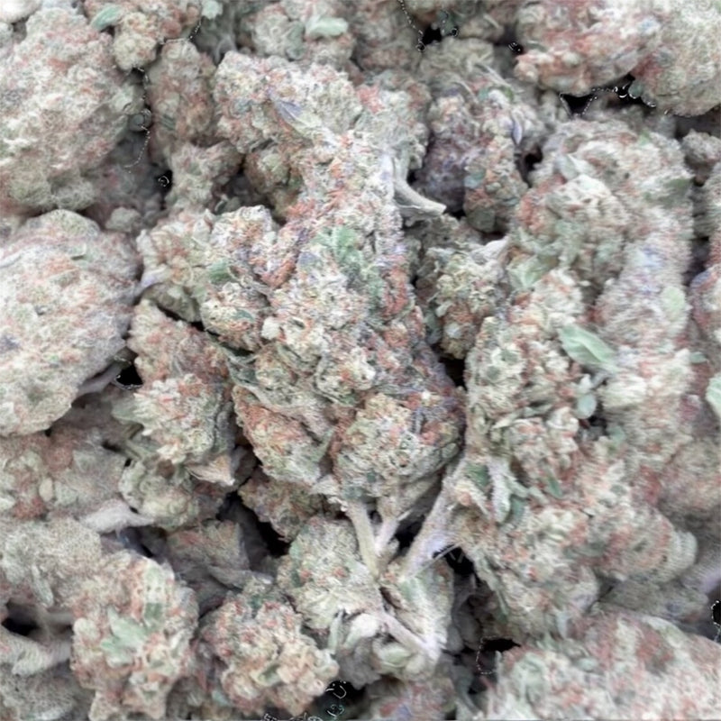 Chocolate Diesel - Bulk - Sativa