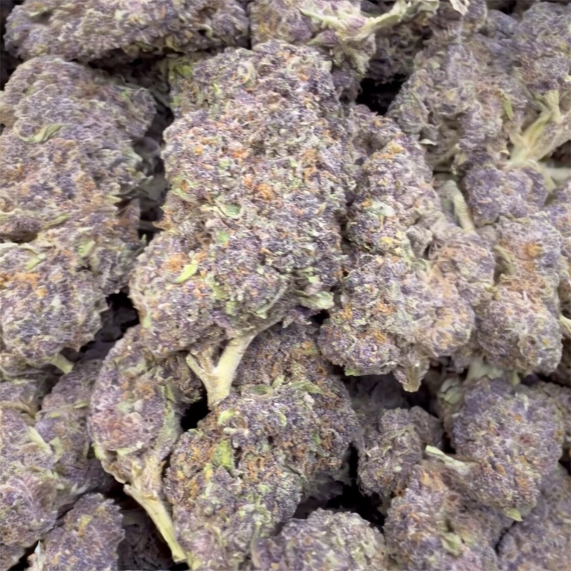 Grand Daddy Purple (GDP) - Bulk - Indica