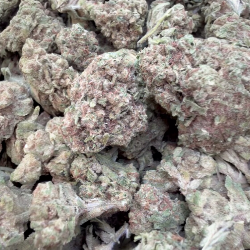 Horchata Gas - Bulk - Sativa