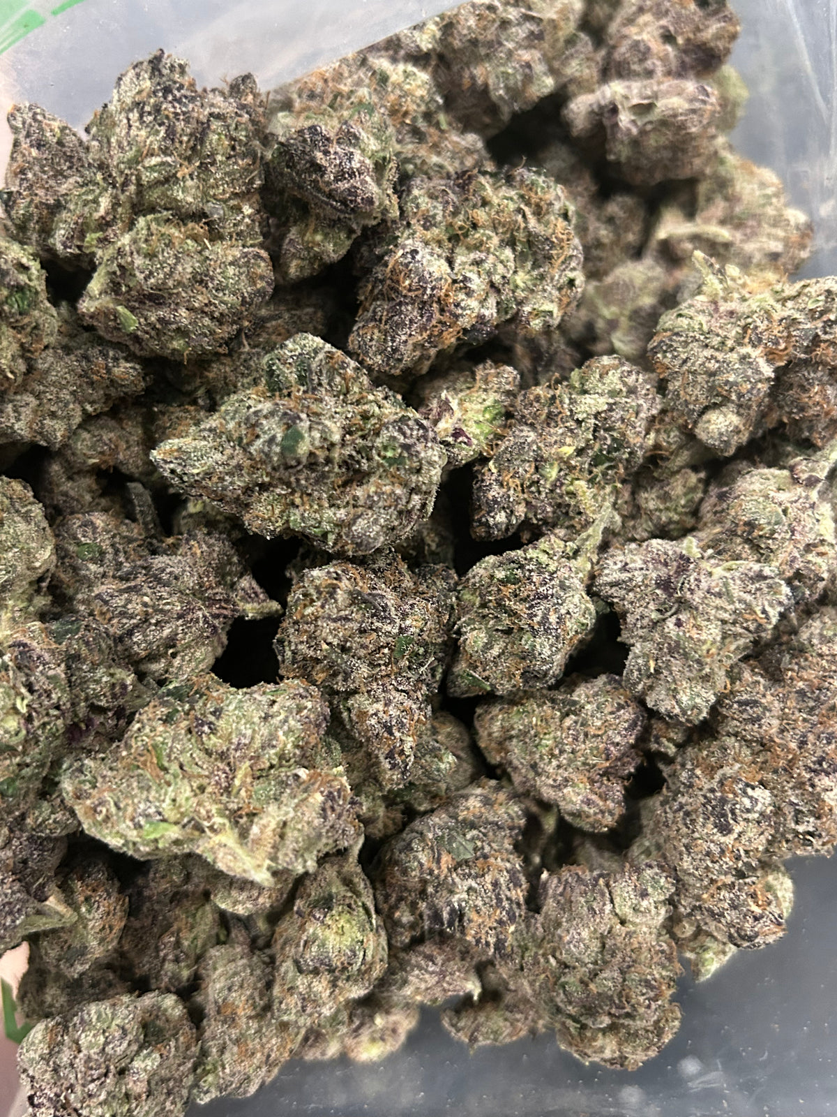 Frozen Black Cherry 🍒 - Indoor - Indica