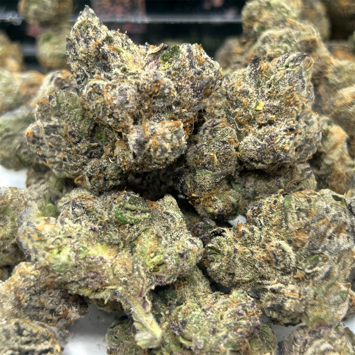 Frozen Black Cherry 🍒 - Indoor - Indica